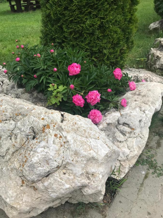 Vila Vraja Muntelui Moieciu de Jos Exteriör bild